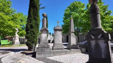 Klasik mezarlıkta klasik haçlarla yansıtıcı bir yürüyüş.