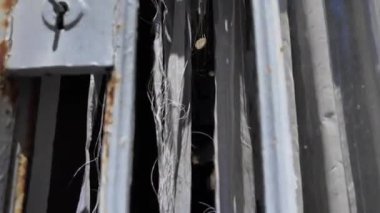 Tarihi anıtmezarlarla ve yosunlu mezarlarla huzurlu bir mezarlık gezisi.