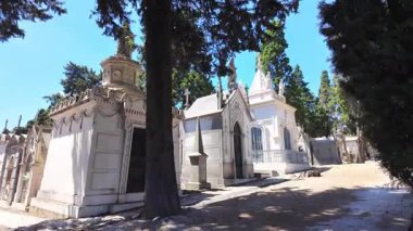 Klasik mezarlık yolu sarmaşık kaplı mezarlarla dolu.