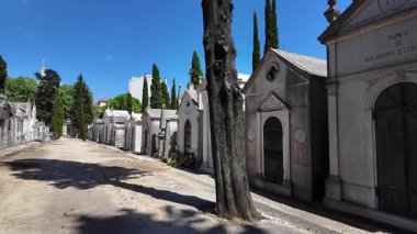 Tarihi mezarlıkta eski mahzenler ve melek heykelleriyle yürüyorum.