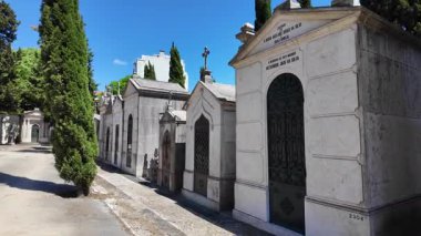 Kırık taşlar ve gotik havayla eski mezarlıkta geziniyorum.