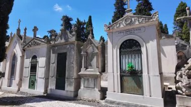 Gölgeleri, yosunları ve tarihi cazibesi olan eski mezarlık patikası.