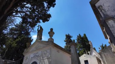 Unutulmuş mezarlık yolu kırık mezarlarla ve aşırı büyümüş güzelliklerle