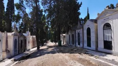 Mezarlıkta huzurlu bir an. Gotik mahzenler ve doğa geri istiyor.