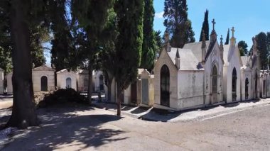 Tarihi mezarlıkta eski mezar taşlarıyla barışçıl adımlar.