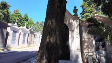 Sarmaşık mezarları ve barışçıl yolları olan klasik mezar yerlerini araştırıyoruz.