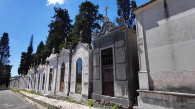 Tarihi mezar taşları ve yumuşak ışıkla ebedi mezarlık sahnesi