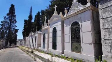 Terk edilmiş mezarlık yolu. Eski mezarları ve sessiz güzellikleri var.