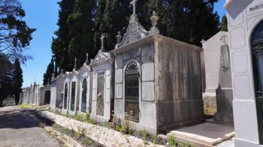 Yosun kaplı mahzenler ve mermer heykellerle manzara mezarlığı yürüyüşü