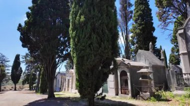 Eski anıtların ve unutulmuş mezarların olduğu sessiz mezarlık yolu