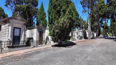 Tarihi mezarlıktaki eski mezarların arasında huzurlu bir an.