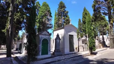 Eski mezarlıkta yaşlı taş mezarlarla ve sessizlikle yürüyün.