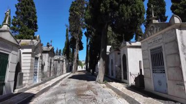 Taş mezar taşları ve yalnızlıkla dolu tarihi mezarlıkta lanetli bir ortam.