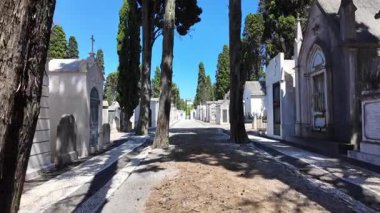 Sarmaşık kaplı mezar ve heykellerle mezarlıkta huzur içinde yürüyün.