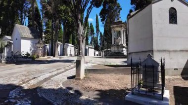 Aşırı büyümüş mezarların ve gotik detayların olduğu kasvetli eski mezarlık yolu