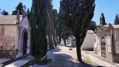 Eski mezarlıklar süslü mezarların ve oyulmuş anıtların yanından geçer.