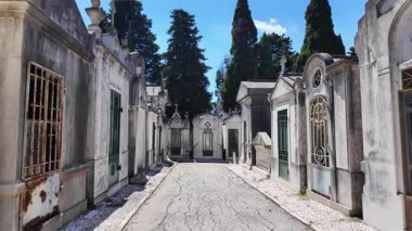 Gölgeler, eski işaretler ve tarihi cazibeyle dolu gotik mezarlığı keşfediyorum.