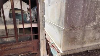 Taştan mahzenleri ve zamansız anıtsal heykelleri olan taşra mezarlığı.