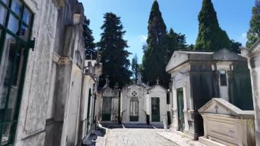 Yosun tutmuş mezar taşlarıyla antik mezarlıkta dolanan patika.