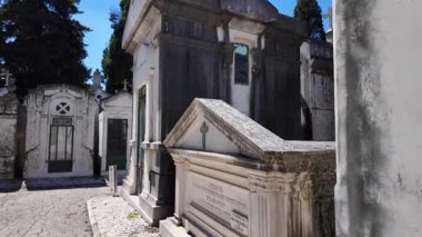 Yıpranmış mezar taşları ve sarmaşık duvarları olan aşırı gelişmiş tarihi mezarlık.