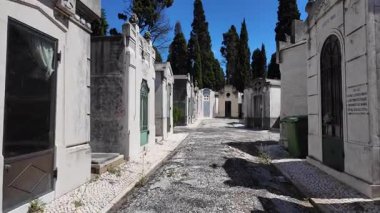 Ceketli bir adam, sessiz bir mezarlıkta antik mezarların arasında tek başına yürüyor.