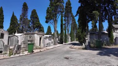 Gotik mezarlar ve eski mezar taşlarıyla dolu mezarlıkta huzurlu bir gezinti.