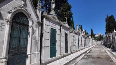 Atmosferik eski mezarlıkta, yıpranmış mezar taşları ve sessizlikle geziniyor.