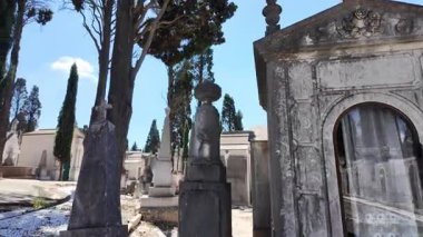 Bulutlu gökyüzünün altında, yosun ve taş mezarlıklarla dolu eski mezarların yanından geçiyorum.