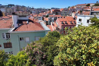 Kırmızımsı çatıları ve yemyeşil otlağı olan bir tepenin manzarası