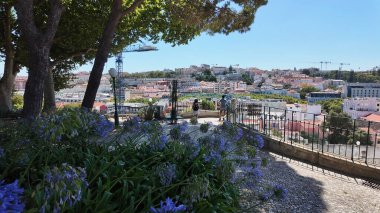 Önplanda Çiçeklerle Bir Şehrin Manzarası