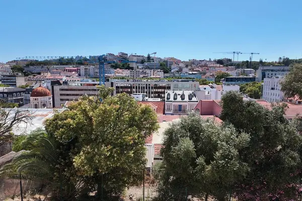 Mavi Gök Altında Kırmızı Döşemeli Çatı ve Yeşillikli Şehir Manzarası