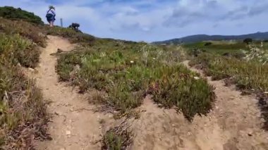 Portekiz 'de doğa kıyı yolu Okyanus rüzgarı ve yüksek uçurumlarla