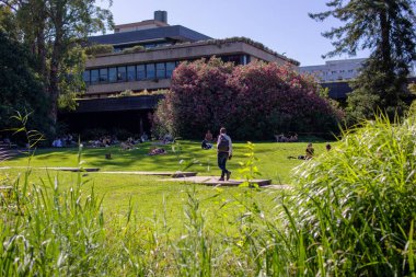 Üniversite Kampüsü Sahnesi İnsanları Arkaplanda Binası Olan Yeşil Çimlerde Rahatlıyor