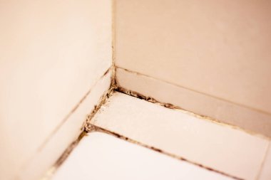 Banyo Köşesinde Küf İstilası