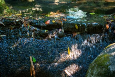 Şelaleden Su ve Taş Bir Doğa Sahnesi