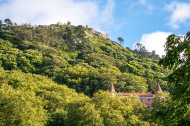 Sintra Kalesi Portekiz 'in yemyeşil bir tepesinde tünemişti.