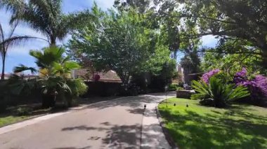 Lizbon Botanik Bahçesi 'nde yaz ağaçları, egzotik bitkiler, Portekiz' in barışçıl atmosferi.