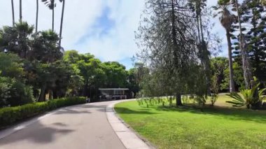 Yürüyen POV Lizbon Portekiz yazı Botanik Bahçesi yemyeşil palmiye ağaçları doğayı rahatlatan çiçekler