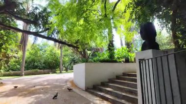 Yazın Lizbon Botanik Bahçesi 'nde yemyeşil egzotik bitkiler ve sakin Avrupa atmosferiyle gezinen manzara.