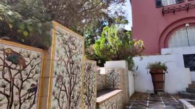 Lizbon yaz mevsimi. Portekiz Botanik Bahçesi. Yeşillik, egzotik bitkiler.