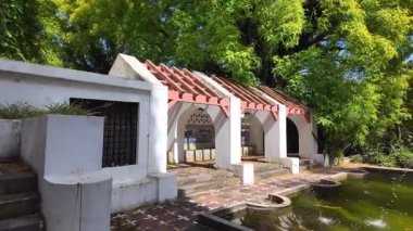 Lizbon Botanik Bahçesi POV yürüyüşü Tropikal bitki örtüsü çiçekleri Avrupa parkını sakinleştirdi