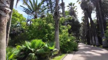 Lizbon Botanik Bahçesi yaz gezintisi Portekiz egzotik bitki palmiyeleri turistik manzarayı sakinleştirdi