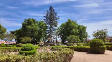 Manzaralı yürüyüş POV Lisbon Portekiz yaz botanik bahçesi yemyeşil bitkiler egzotik çiçekler sakin doğa seyahati