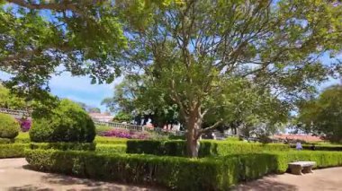 Çiçeklerle dolu Lizbon Botanik Bahçesi POV yürüyüşü yeşil Avrupa atmosferini yeşertiyor