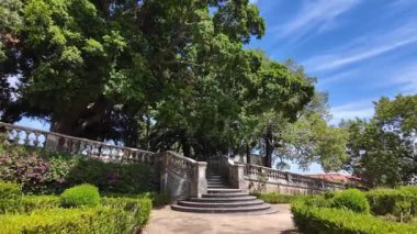 Manzaralı yaz POV Lizbon Botanik Bahçesi Egzotik bitki örtüsü çiçekleri Avrupa 'nın durak noktasını sakinleştirdi