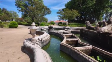 Lizbon Botanik Bahçesi 'nin yürüyüş yolu yaz mevsimi POV yemyeşil, egzotik bitkiler Avrupa seyahat manzarası