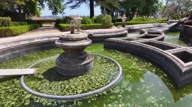 Birinci şahıs POV Lisbon Portekiz yaz botanik bahçesi tropikal bitkiler ve yeşil ağaçlarla yürüyor