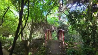 Lizbon parkında yürüyen yeşil yol yaz güneşi POV Avrupa seyahat arka plan mimari tatili