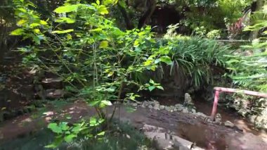 Lizbon parkı parlak yaz günü POV ağaçları yeşil Avrupa tatil şehri mimarisi