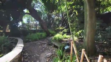 POV Lizbon yaz parkı gezintisi ağaçları yeşil güneş ışığı Avrupa seyahati tatil konsepti mimarisi